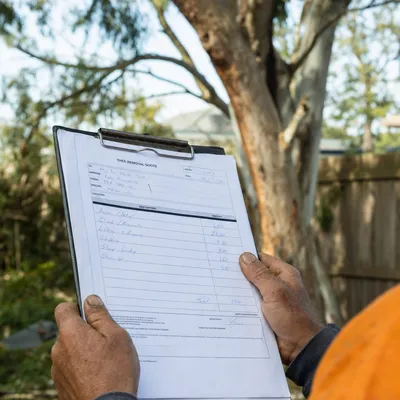 Reading a written tree removal quote on site in Cairns