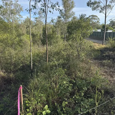 Before: Block prep ahead of a development, Cairns