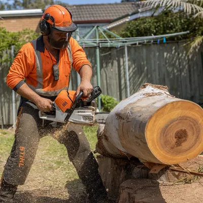 Tree Removal in Cairns. Sectional dismantling of palms, poincianas, mangoes and large figs. Safe take-downs near houses, fences and powerlines, any size.